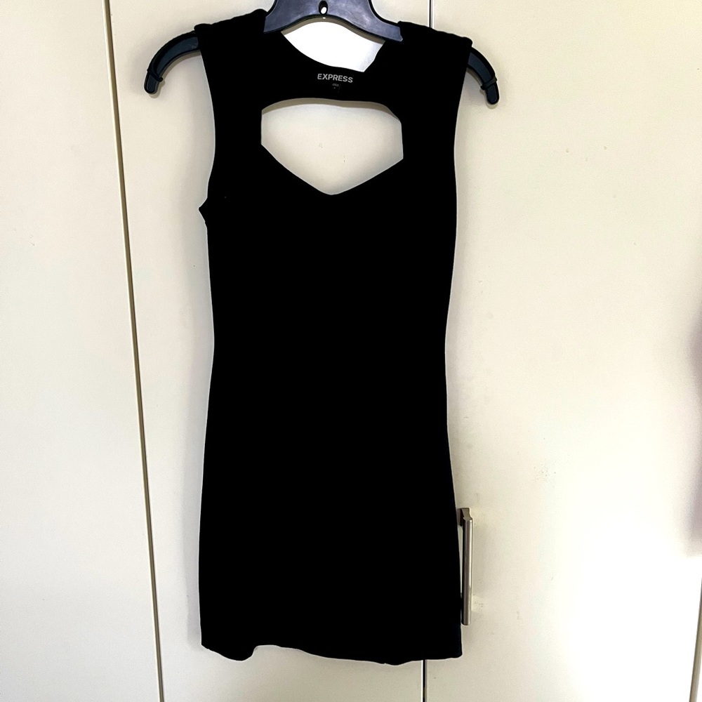 Express ladies dress